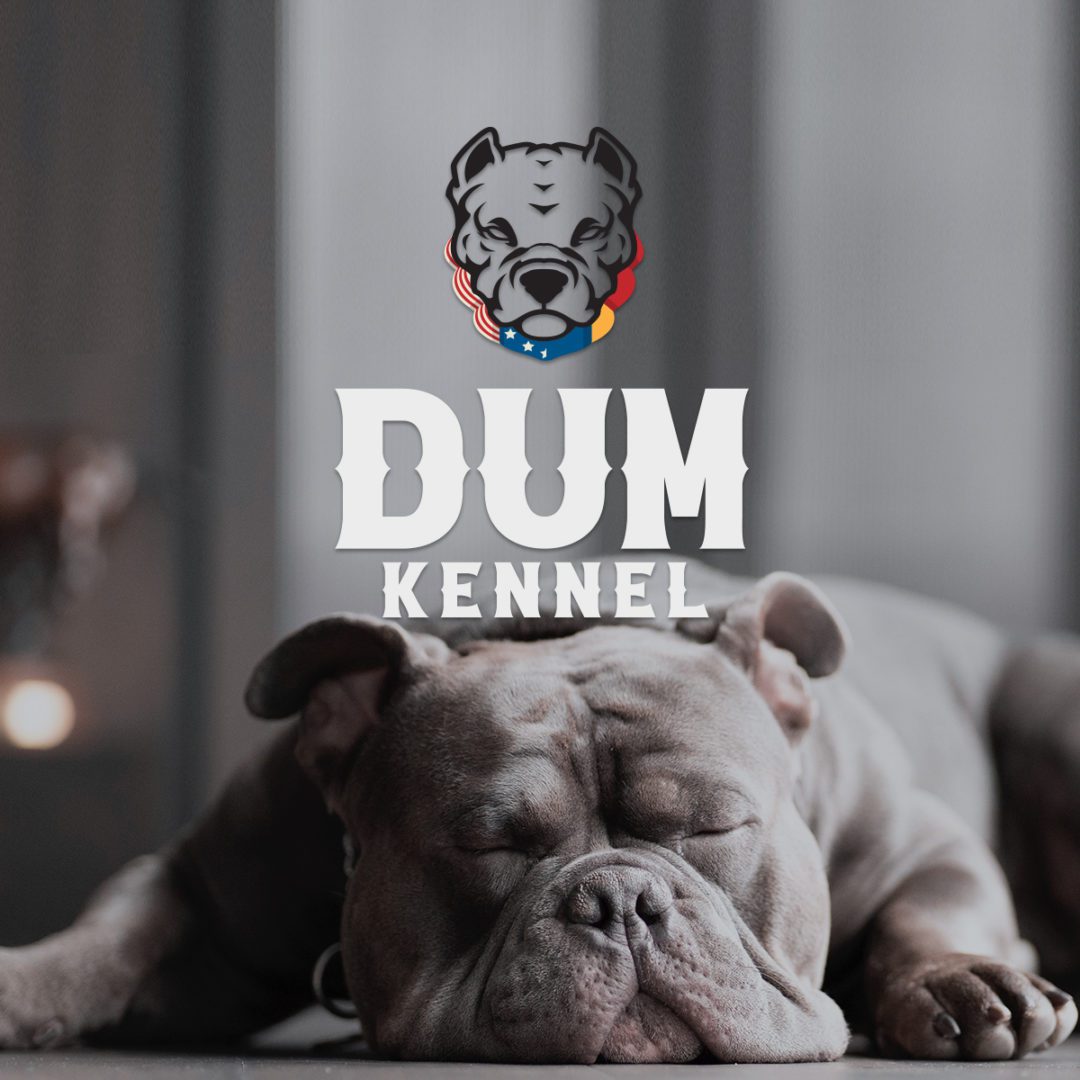 Dum Kennel - Logo design