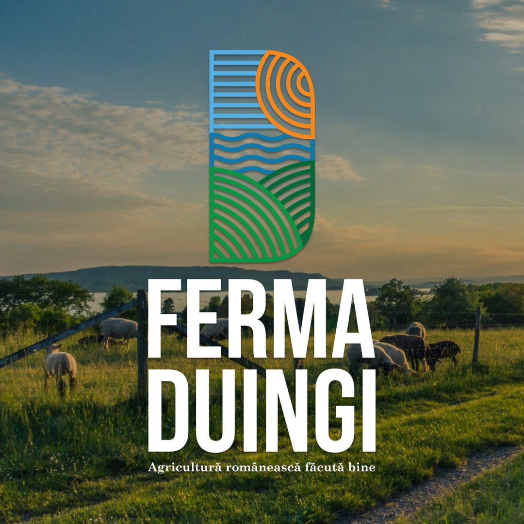 Ferma Duingi Logo design