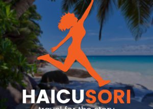 Hai cu Sori - Logo design